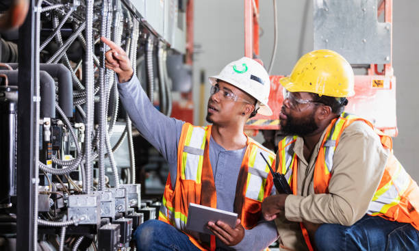 Best Electric Panel Repair  in Angustura, NM